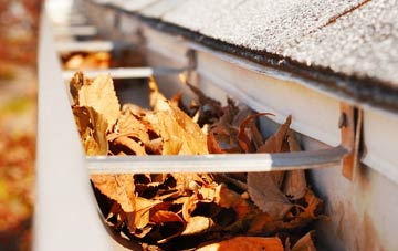 Swanley Bar gutter cleaning companies